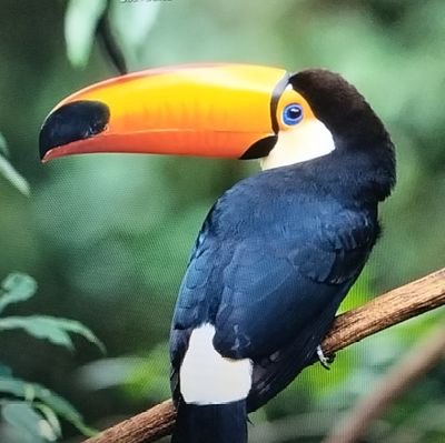 phongcrypto82's profile picture.