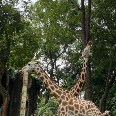 Altername128's profile picture. 