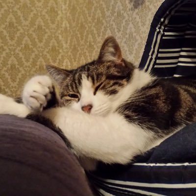 amazingDragon69's profile picture. 