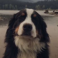H (@arbitervalue) 's Twitter Profile