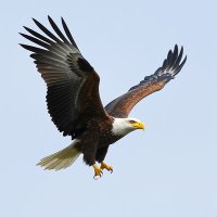 King Nuel (@bignuel5) 's Twitter Profile