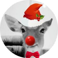 kit π¦| (@dontdropdcrown) 's Twitter Profile
