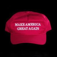 CarolinaTrump πΊπΈ (@dark_to_light44) 's Twitter Profile