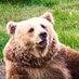 Howard (@howard19624171) Twitter profile photo Howard (@howard19624171) Twitter profile photo