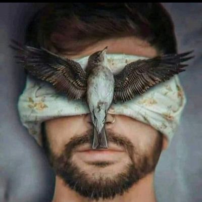 AAbohba74935's profile picture. History is the best teacher.