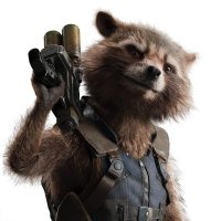 Rocket (@r_raccoondaily) 's Twitter Profile Photo Rocket (@r_raccoondaily) 's Twitter Profile Photo