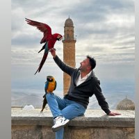 ⒼⓄⓀⒽⒶⓃ (@atomdanbircanim) 's Twitter Profile