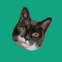BuyCatGPT's profile picture. ChatGPT for Cats!