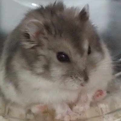 yuma03210515's profile picture. 