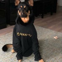 PERRY (@perry_binance) 's Twitter Profile Photo PERRY (@perry_binance) 's Twitter Profile Photo
