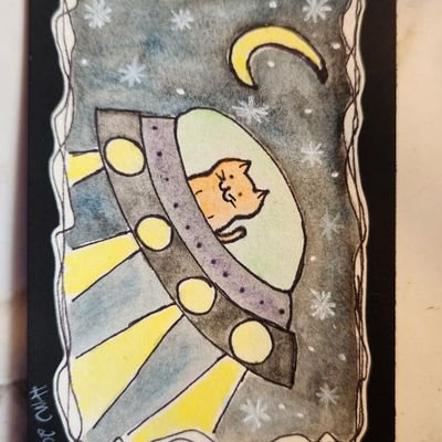 EfangirlDo72483's profile picture. American WOMAN, Mother, 1A, 2A, work hard play hard, anti-woke, part of the porcupine gang, Justice for Peanut and Fred, Trans KIDS don't exist