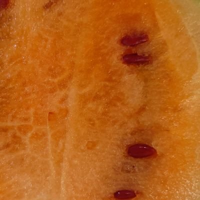 GCRxSHUNGIKU1's profile picture. 