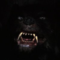 gmork. (@joeygoatgruff) 's Twitter Profile