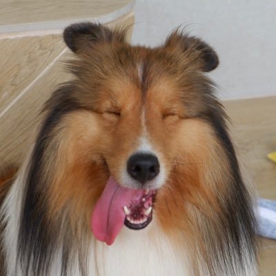 iam_prakaidao's profile picture. 🌟🌷Always keep smiling🥰✨มัมหมีวินเม #WinMetawin🐰💚 | #แม็กกี้บาส #6CODE🐢🏀