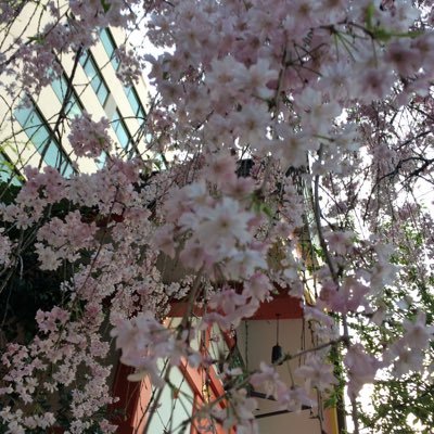 elemente2890r's profile picture. 地域の課題を抽出しています。