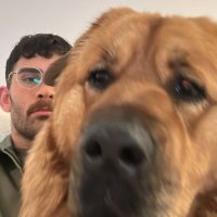 shandi ☆ (@bluehvur) 's Twitter Profile