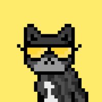 Solana Strays (@solanastrays) 's Twitter Profile
