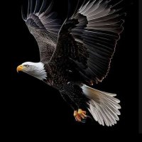 Voice (@ti_voice) 's Twitter Profile Photo Voice (@ti_voice) 's Twitter Profile Photo