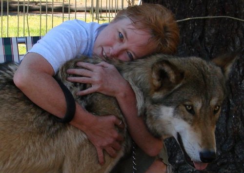 ctywolf's profile picture. 