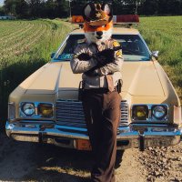 Lainy Fox (@lainy_fox) 's Twitter Profile