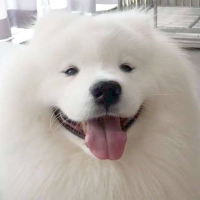 shuka2sei27's profile picture. 骨スト飲みべ常夏 @ukarimasu4_2