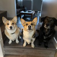 sugar mummy (@poolshade46827) 's Twitter Profile