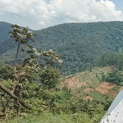 geoffreybedan5's profile picture. Passionate - Proactive & Collaborative - Parent - Health_Practitioner.
 Quality Healthcare is my Pride