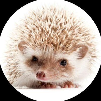 2BIGM23's profile picture. 𝗠𝗼𝗼𝗻𝗌𝗍𝗋𝗎𝖼𝗄 𝗅𝗈𝗏𝖾 ˚ෆ*₊