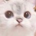 Julia (@juliaaax97) Twitter profile photo Julia (@juliaaax97) Twitter profile photo