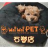 waiwaipet_ishi's profile picture. 石巻市にあるペットショップです。（イオンモール石巻内）
営業時間：年中無休 
AM10:00～PM8:00 
交通機関
JR蛇田駅から徒歩15分　イオンモール石巻