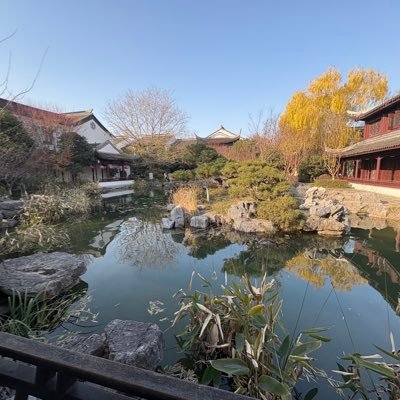 MJX666888197232's profile picture. 