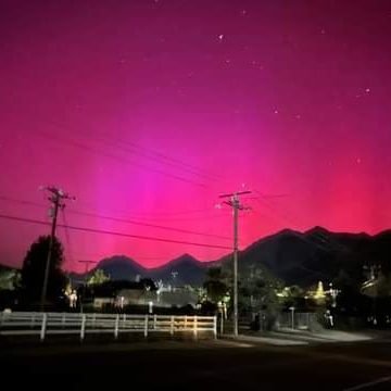 BruceSorre31254's profile picture. 