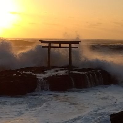 mankino1's profile picture. 鬱病の爺さんです無職です！
最近、軽自動車で車中泊しながらあちらこちらに出没していますが小心者のためいたって目立ちません！