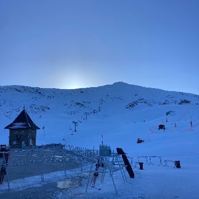 AtticusucittA's profile picture. De Tintín a Maus.