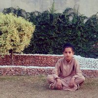 A Haq (@ahaq1785323) 's Twitter Profile