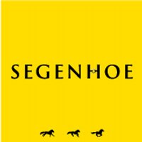 Segenhoe Group(@SegenhoeGroup) 's Twitter Profileg