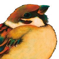 Kawai Shoko🐧 (@sunatnom_ressap) Twitter profile photo