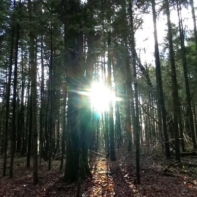 PermaQultor88's profile picture. 