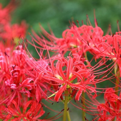 やましげ🌌 (@yamashigecamera) / Posts / X