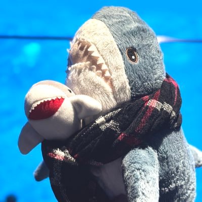 IKEA_MTG's profile picture. 🦈趣味用アカウント🦈  飾らないサメたち中心
