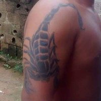 Jose irenaldo (@irenaldo8) 's Twitter Profile