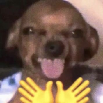 zhuning0330's profile picture. 