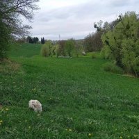 skyler (@skyler7109) 's Twitter Profile