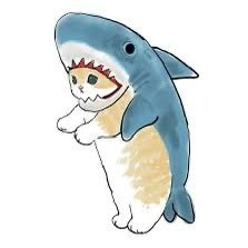 sharkitten_uwu's profile picture. 