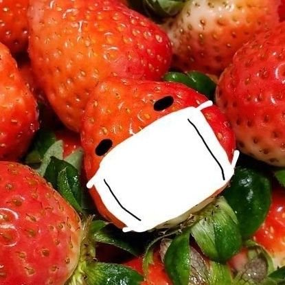 卯目朋章🏳️‍🌈わにすけさんのプロフィール画像