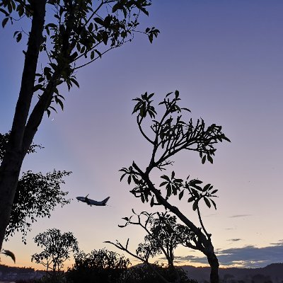 lasergene's profile picture. I knew I could do it.