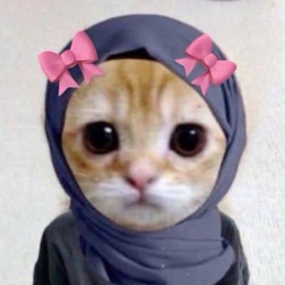 📍norway // learning korean 🇰🇷🧸💌 (feel free to correct me) somali (mother tongue), norwegian (native), english (fluent) #langtwt #studytwt