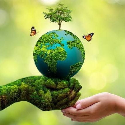 Anjali089915177's profile picture. Dreamer
Nature lover