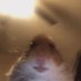 CM`คนเด๋อ (@sd_108208) Twitter profile photo CM`คนเด๋อ (@sd_108208) Twitter profile photo