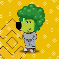 BRCGUY (@brcguy_solana) 's Twitter Profile
